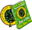 Thumbnail Plant & Grow Your Money Tree