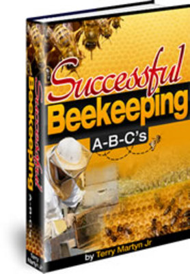 Product picture Successful Beekeeping A-B-Cs