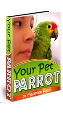 Product picture Your Pet Parrot